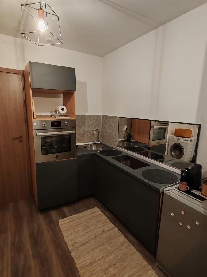 Studio Grigio Apartment Sibiu Exterior foto