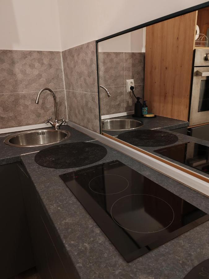 Studio Grigio Apartment Sibiu Exterior foto